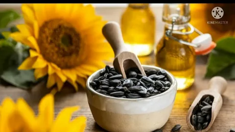 تصویر 1 از قیمت تخمه آفتابگردان سیاه + خرید باور نکردنی